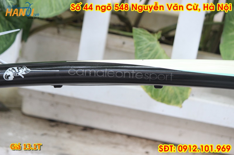 Xe Touring Nhật bãi Bianchi CamaleonteSport đến từ Italia