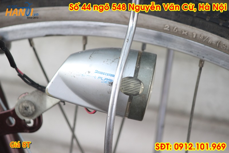 Xe trợ lực có kéo ga Enersys đến từ Japan