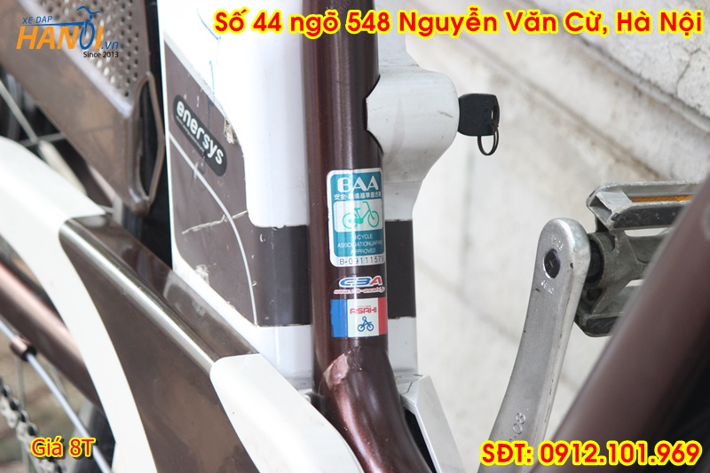 Xe trợ lực có kéo ga Enersys đến từ Japan