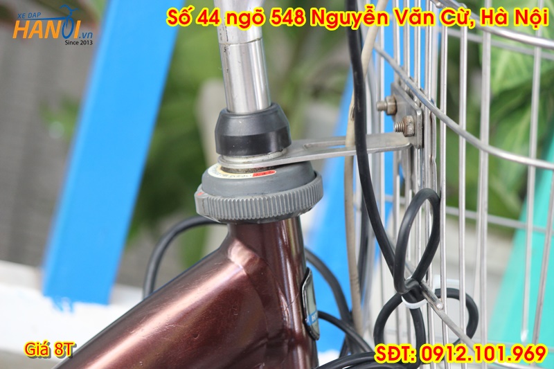 Xe trợ lực có kéo ga Enersys đến từ Japan