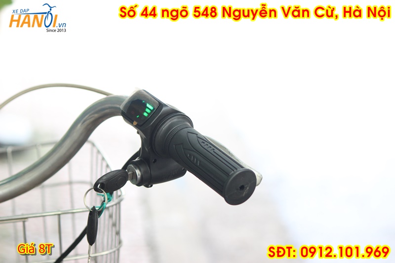 Xe trợ lực có kéo ga Enersys đến từ Japan