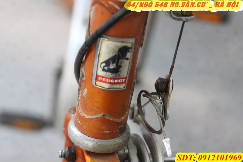 Xe đạp Peugoet đời 1976, cá vàng 9t