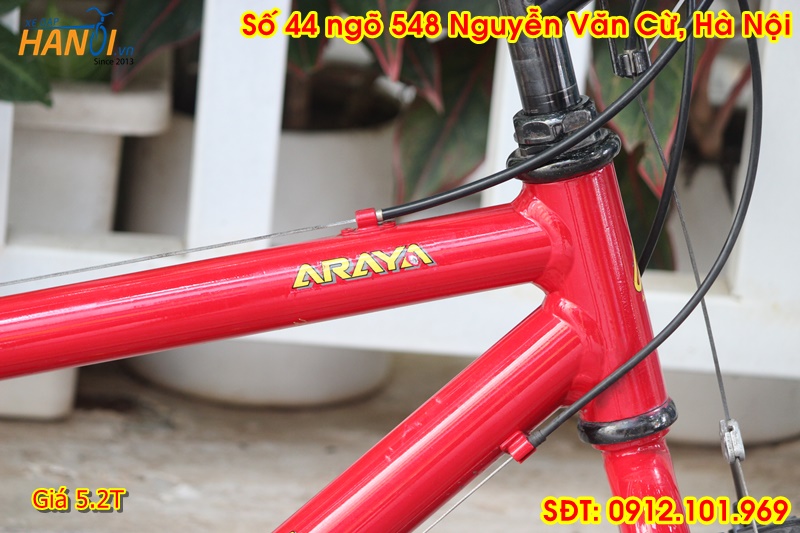 Xe touring Nhật bãi Muddy Fox  đến từ Japan