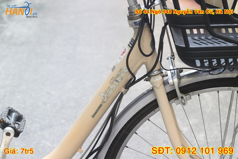 Xe đạp trợ lực có kéo ga Bridgestone
