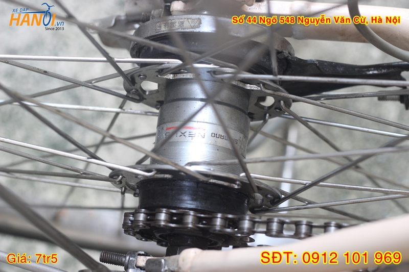 Xe đạp trợ lực có kéo ga Bridgestone