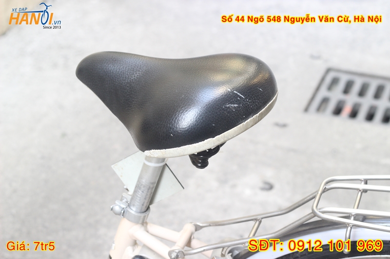 Xe đạp trợ lực có kéo ga Bridgestone