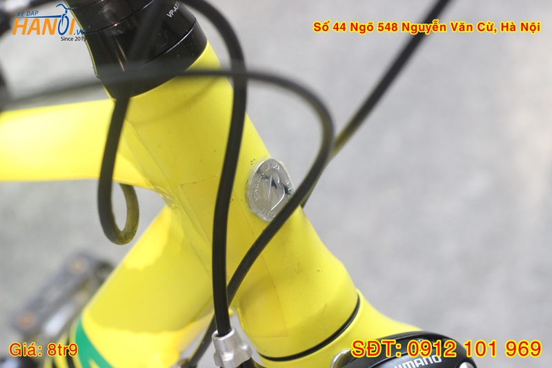 Xe đạp road Nhật bãi Bridgestone Cylva