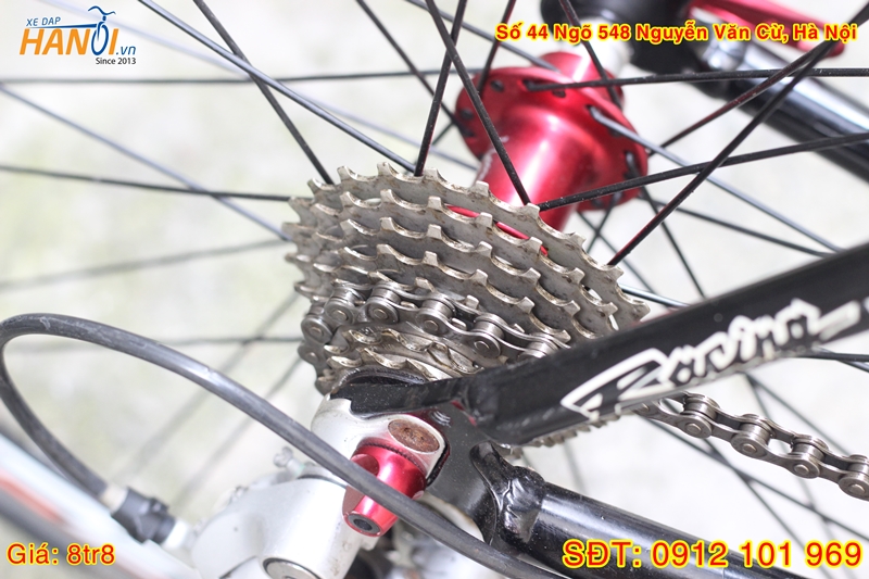 Xe đạp Road Nhật bãi Progressive tới từ Nhật Bản