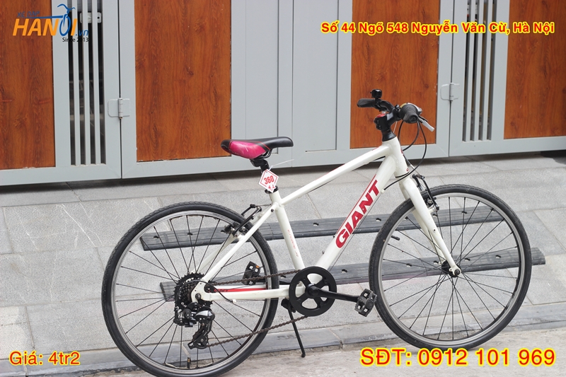 Xe đạp trẻ em touring Nhật bãi Giant Escape Jr
