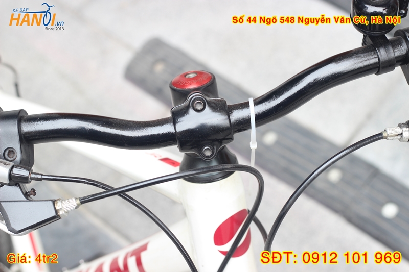 Xe đạp trẻ em touring Nhật bãi Giant Escape Jr