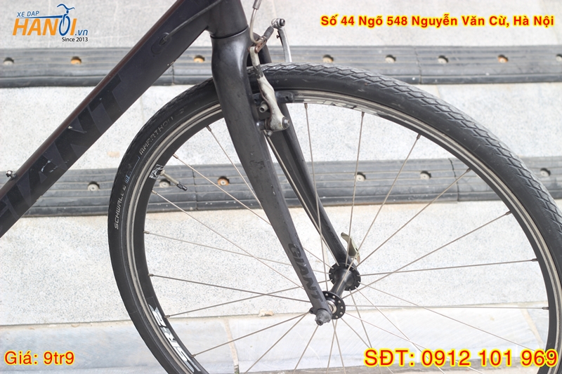 Xe đạp Touring Nhật bãi Giant Escape RX- càng carbon tới từ Taiwan