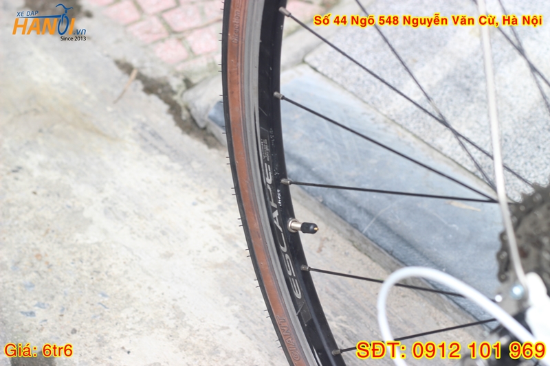 Xe đạp Touring Nhật bãi Giant Liv tới từ Taiwan