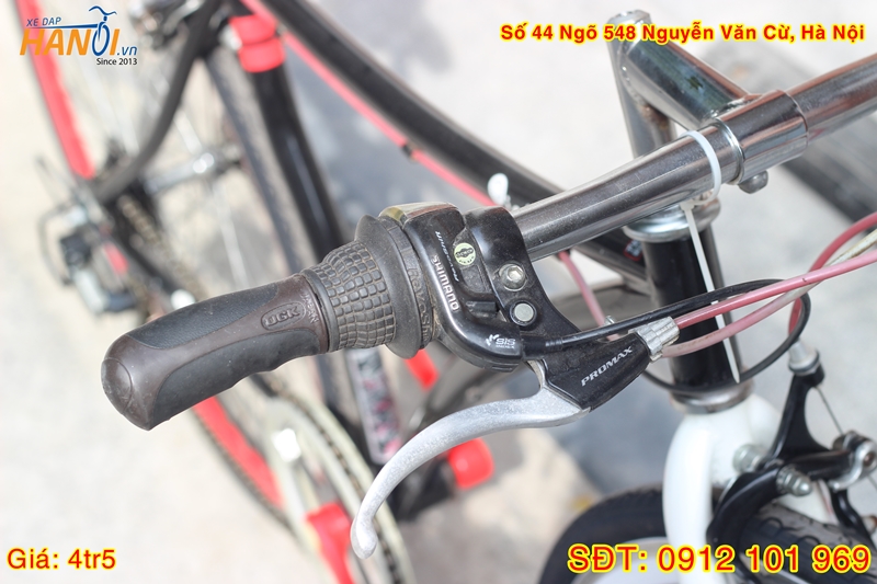 Xe đạp Touring Nhật bãi Piedi tới từ Italia