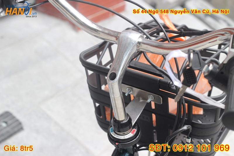 Xe đạp trợ lực có kéo ga Enersys