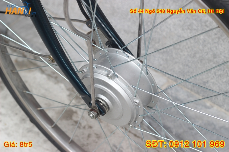 Xe đạp trợ lực có kéo ga Enersys