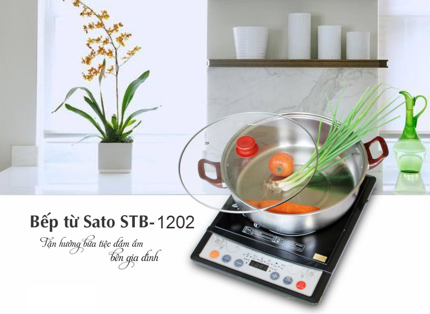 Báº¿p tá»« Sato Model STB-1202 - 01