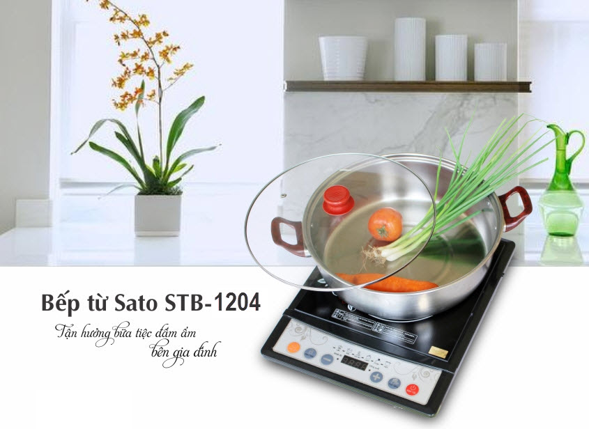 Bếp từ Sato STB-1204