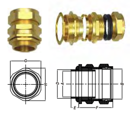 ỐC SIẾT CÁP CW (INDUSTRIAL CABLE GLANDS)