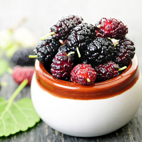 Cách ngâm rượu quả dâu tằm Cách ngâm rượu quả dâu tằm