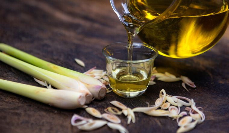 Top 10 Loại Tinh Dầu Thiên Nhiên Được Ưa Chuộng Nhất Hiện Nay Và Cách Chọn Mua An Toàn Tinh Dầu Sả Chanh (Lemongrass) khử mùi thanh lọc không khí