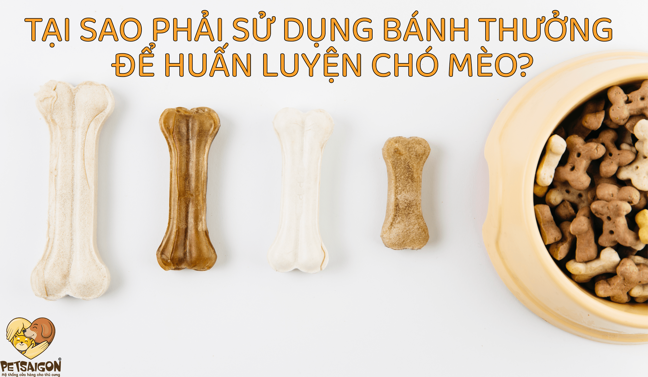 TẠI SAO PHẢI SỬ DỤNG BÁNH THƯỞNG ĐỂ HUẤN LUYỆN CHÓ MÈO? - PETSAIGON
