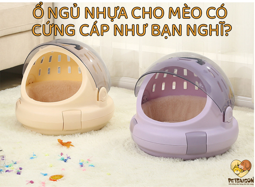 Ổ NGỦ NHỰA CHO MÈO CÓ CỨNG CÁP NHƯ BẠN NGHĨ? - PETSAIGON