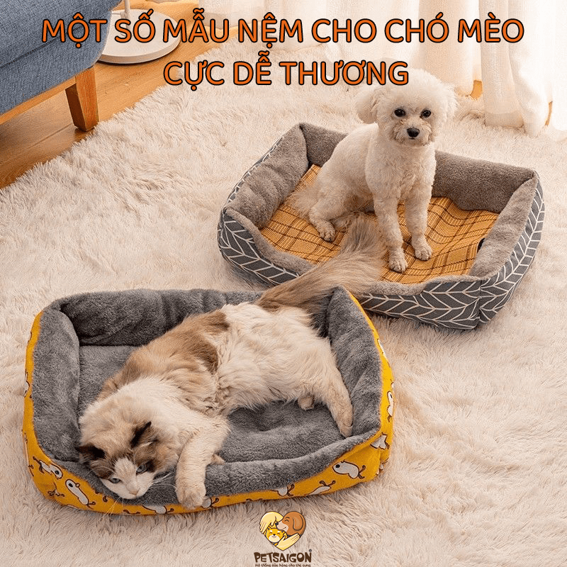 MỘT SỐ MẪU NỆM CHO CHÓ MÈO CỰC DỄ THƯƠNG - PETSAIGON