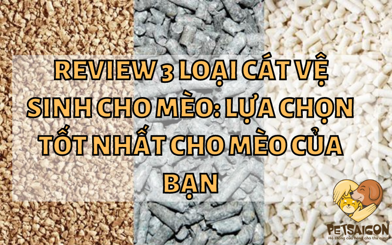 TOP 3 LOẠI CÁT VỆ SINH: LỰA CHỌN TỐT NHẤT CHO MÈO CỦA BẠN - PETSAIGON