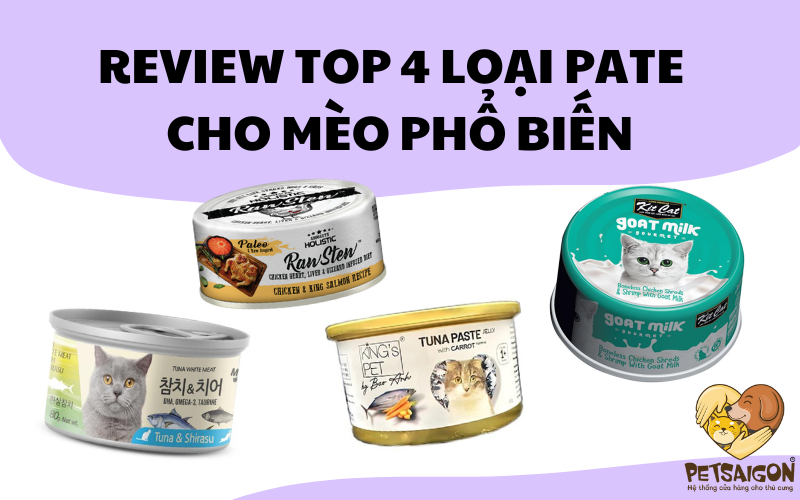 REVIEW TOP 4 LOẠI PATE CHO MÈO PHỔ BIẾN - PETSAIGON