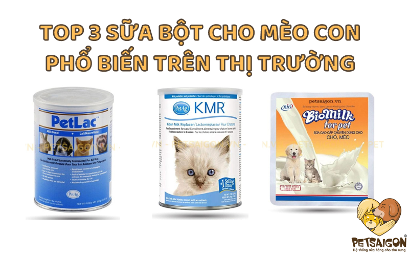 TOP 3 SỮA BỘT CHO MÈO CON PHỔ BIẾN TRÊN THỊ TRƯỜNG - PETSAIGON