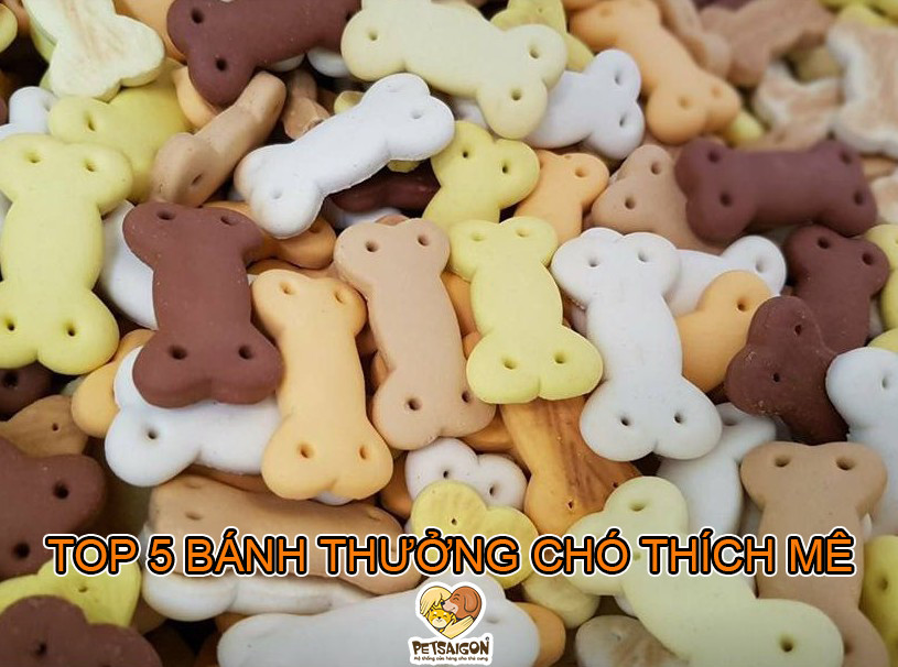 TOP 5 BÁNH THƯỞNG CHÓ THÍCH MÊ - PETSAIGON