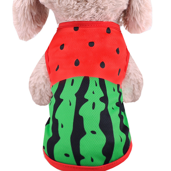 Áo Dưa Hấu Cho Chó Mèo