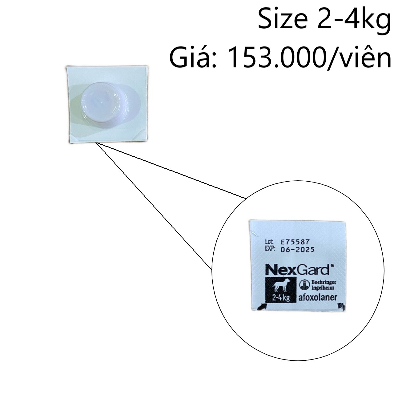 Viên Nhai NexGard Trị Ve, Bọ Chét & Ghẻ Cho Chó