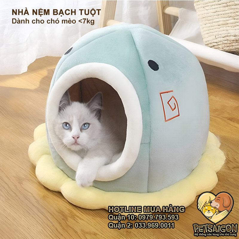 Nhà Nệm Bạch Tuột