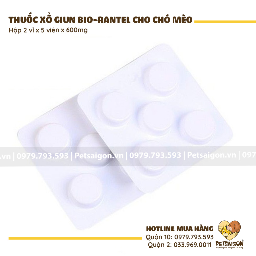Thuốc Sổ Giun Cho Chó Mèo Bio Rantel