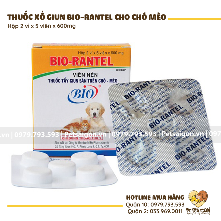Thuốc Sổ Giun Cho Chó Mèo Bio Rantel