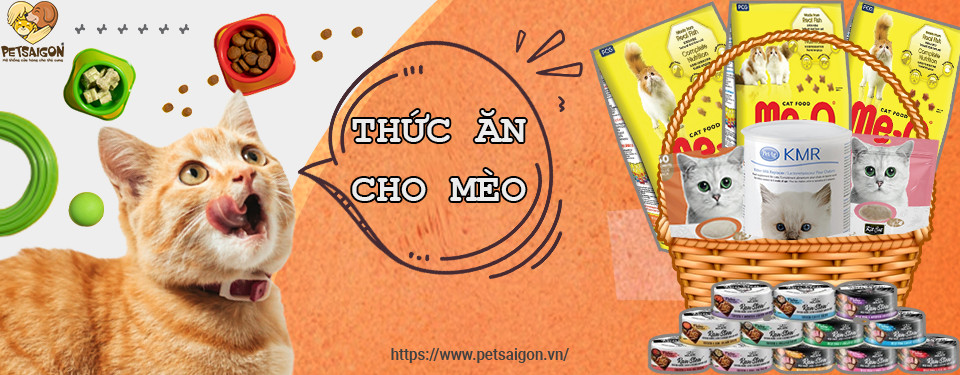 THỨC ĂN CHO MÈO