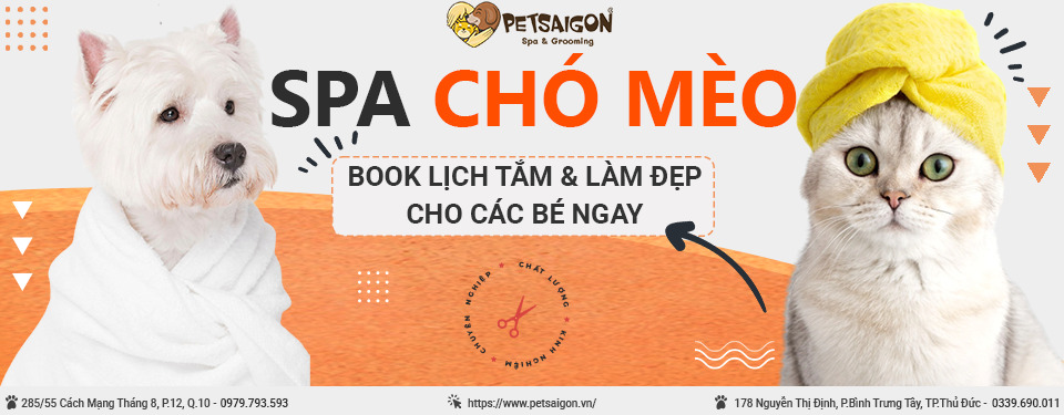 SPA CHÓ MÈO