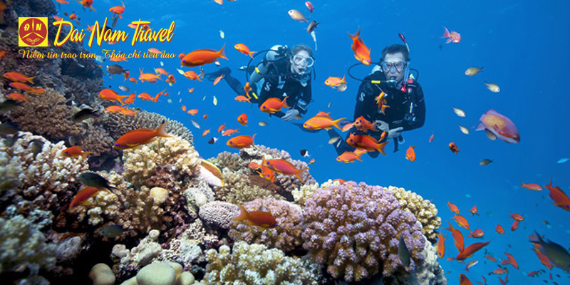 Các Điểm Du Lịch Ở Hạ Long