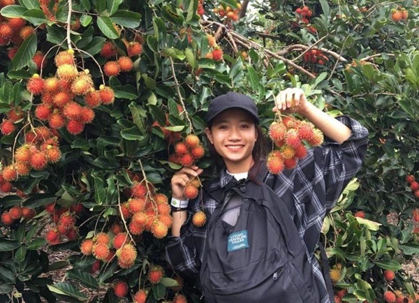 Trái cây miệt vườn 