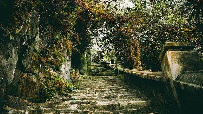 du lịch đà nẵng