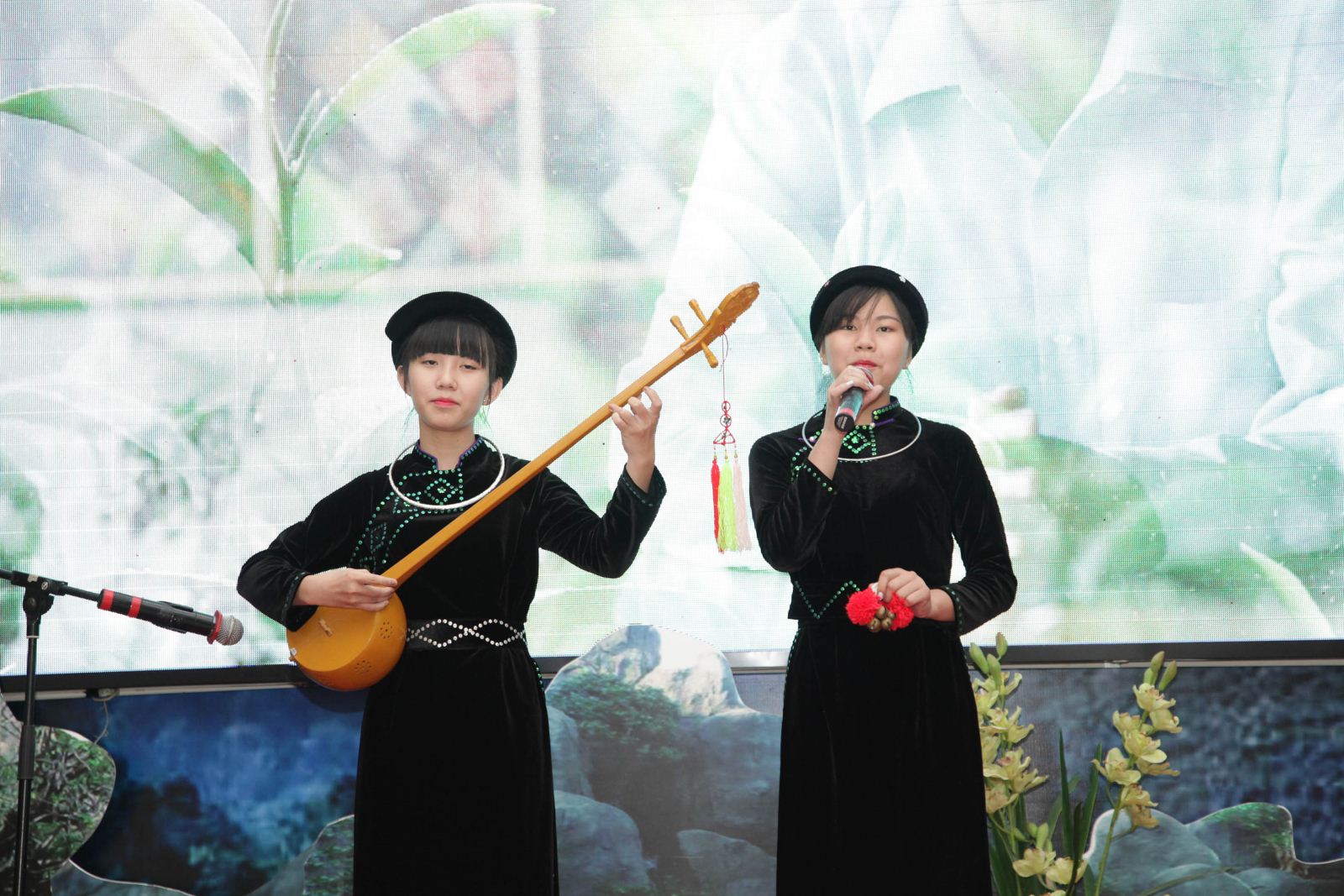 sac màu tây bắc