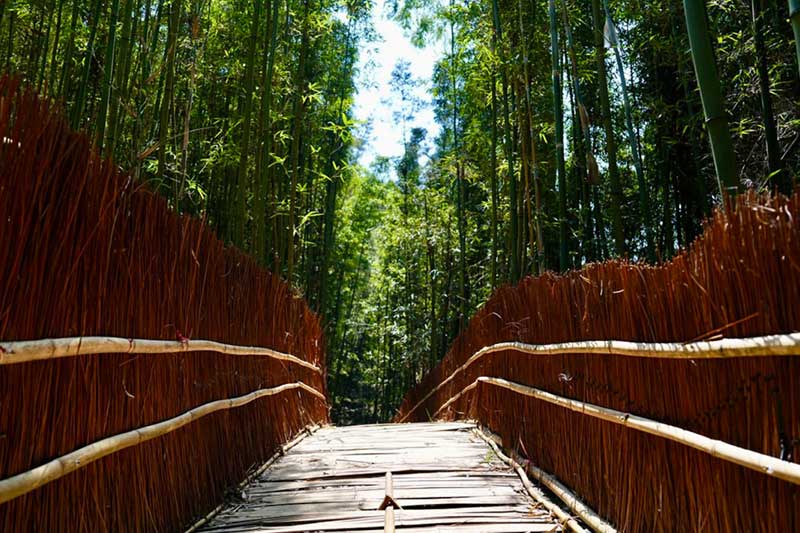 HÁI CAM, LỘI SUỐI HOÀ BÌNH 1 NGÀY