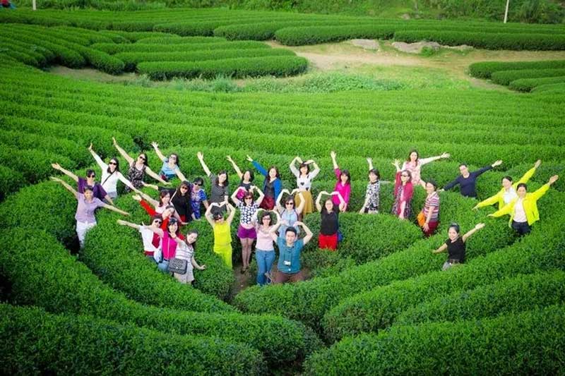 Tour Hà Nội - Mai Châu - Mộc Châu (2 ngày 1 đêm)