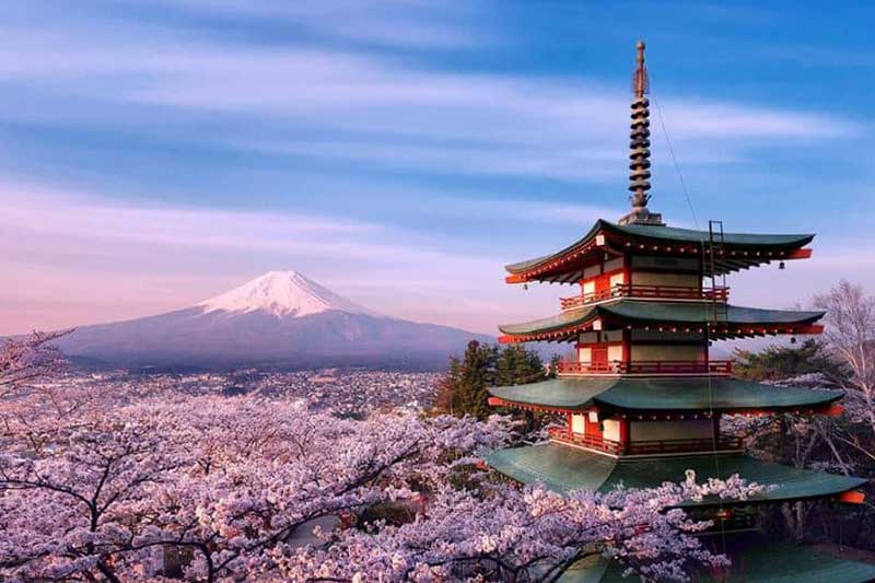 DU LỊCH NHẬT BẢN MÙA HOA ANH ĐÀO: HÀ NỘI – TOKYO – PHÚ SĨ  – KYOTO - OSAKA