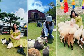 TP. HỒ CHÍ MINH - ĐÀ LẠT 3Đ3N