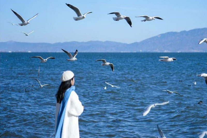 HÀ NỘI - ĐẠI LÝ – CÔN MINH – HÀ NỘI 4N4Đ