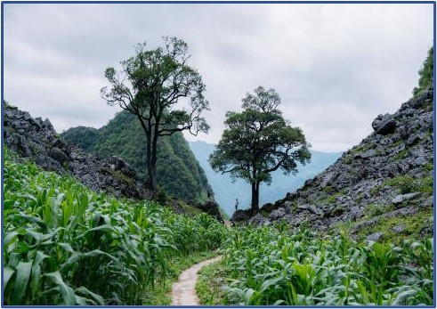 HÀ NỘI - HÀ GIANG - LÀNG LÔ LÔ CHẢI 3N4Đ