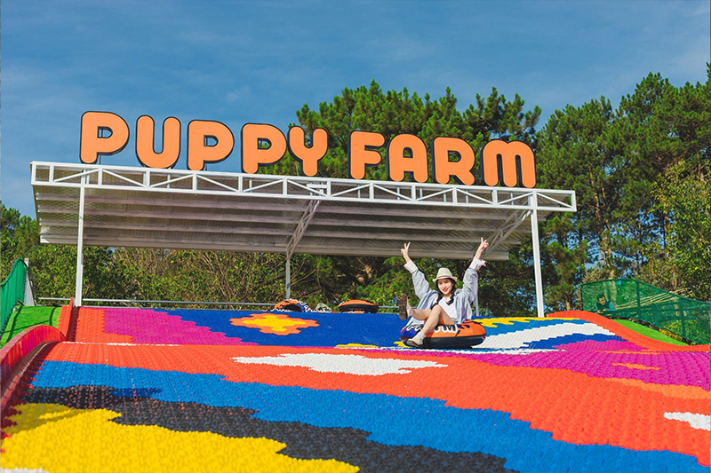 HÀ NỘI - ĐÀ LẠT, THÀNH PHỐ NGÀN HOA (3 NGÀY 2 ĐÊM)