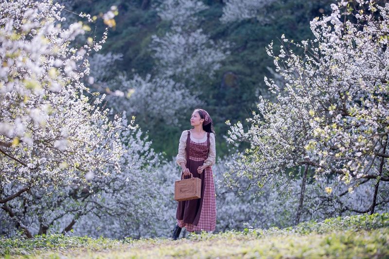 Tour Hà Nội - Mai Châu - Mộc Châu (2 ngày 1 đêm)